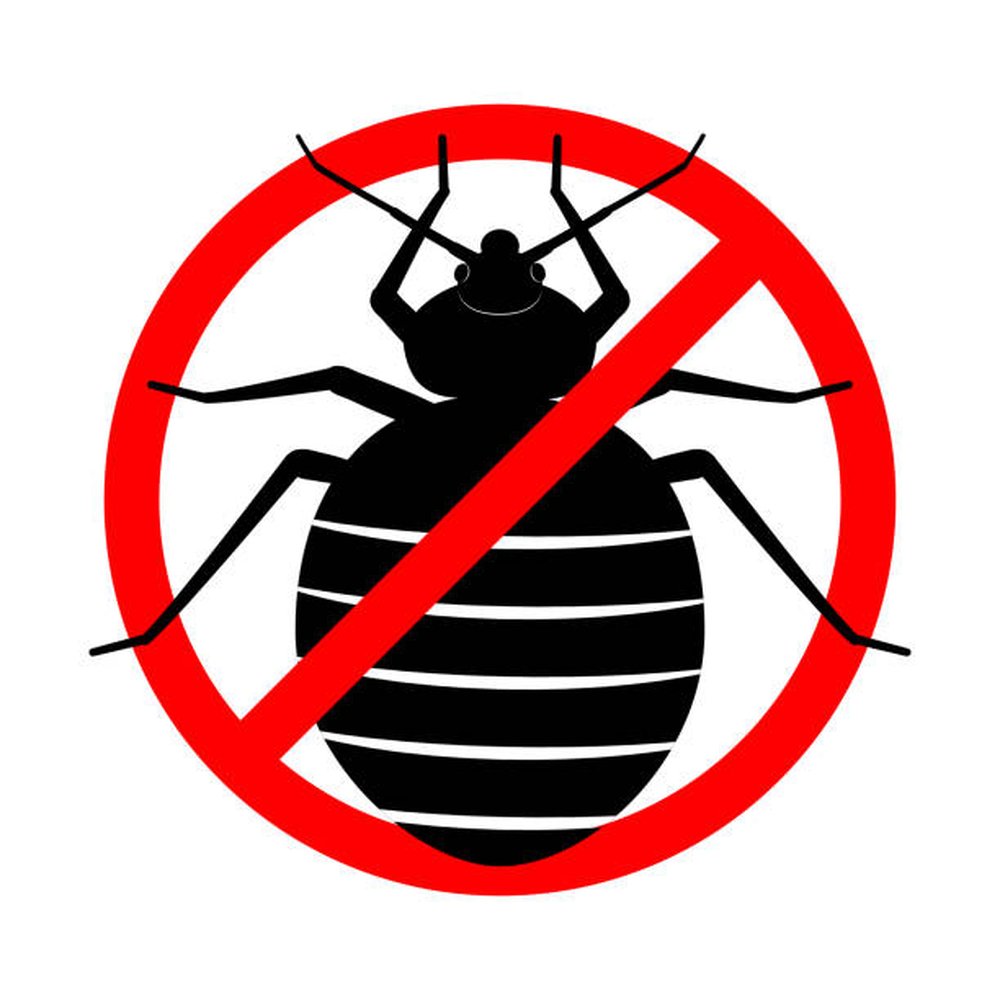 Bad bugs extermination 