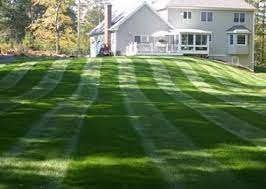 A & M Landscaping & Lawncare