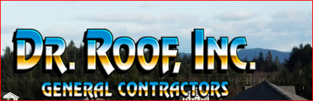 Dr Roof Inc