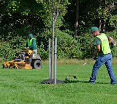 ajp landscaping