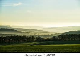 Watersedge Landscape