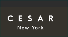 Cesar NYC Kitchens