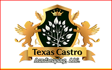 Texas Castro Landscaping LLC