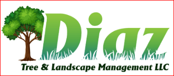 Diaz Tree and Landscape Management LLC
