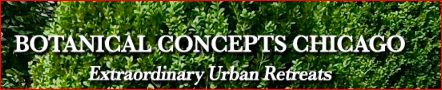 Botanical Concepts Chicago